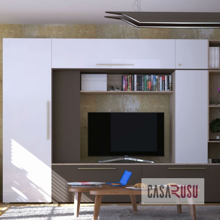 catalog biblioteci casa rusu 17